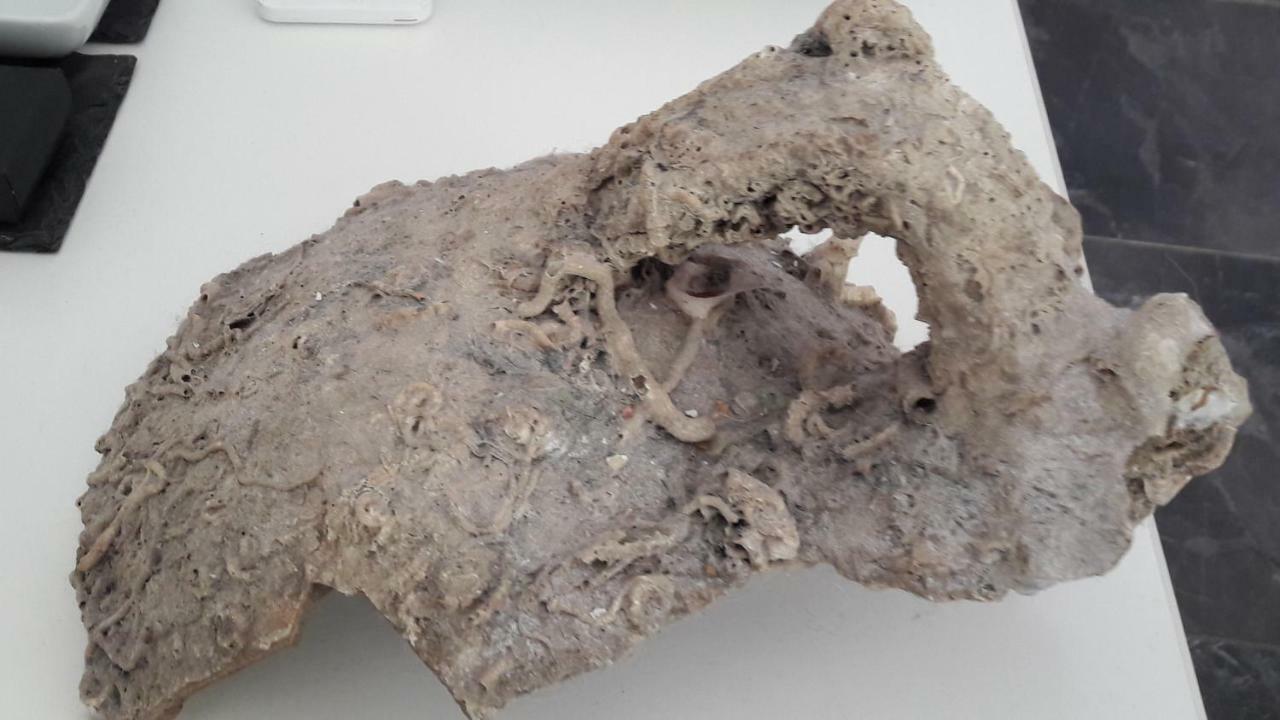 Lägenhet Amphora Split